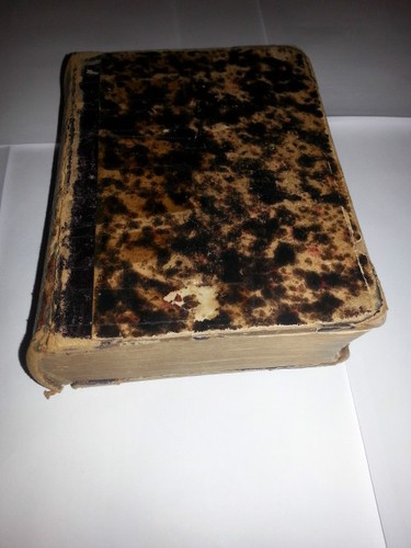 Dizionario portatile - dizionario,